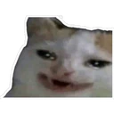 Çıkartma