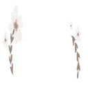 Çıkartma