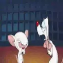 ملصق