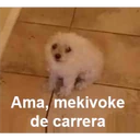 ملصق