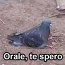 ملصق