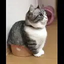 ملصق