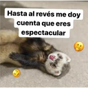 ملصق