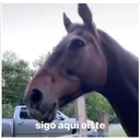 ملصق