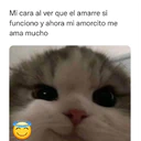 ملصق