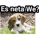 Çıkartma