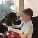 ملصق